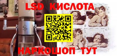 шишки Можга