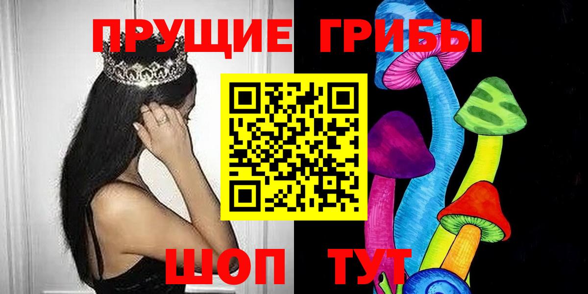 Галлюциногенные грибы Psilocybe Чапаевск