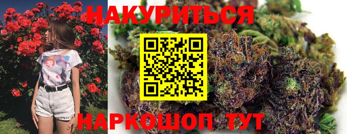 Шишки марихуана конопля Чапаевск